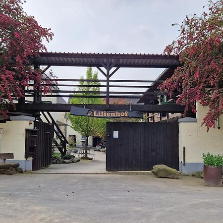 Moderne Ferienwohnung Black Beauty Auf Idyllischem Reiterhof Naehe Burg Eltz Münstermaifeld Exterior foto