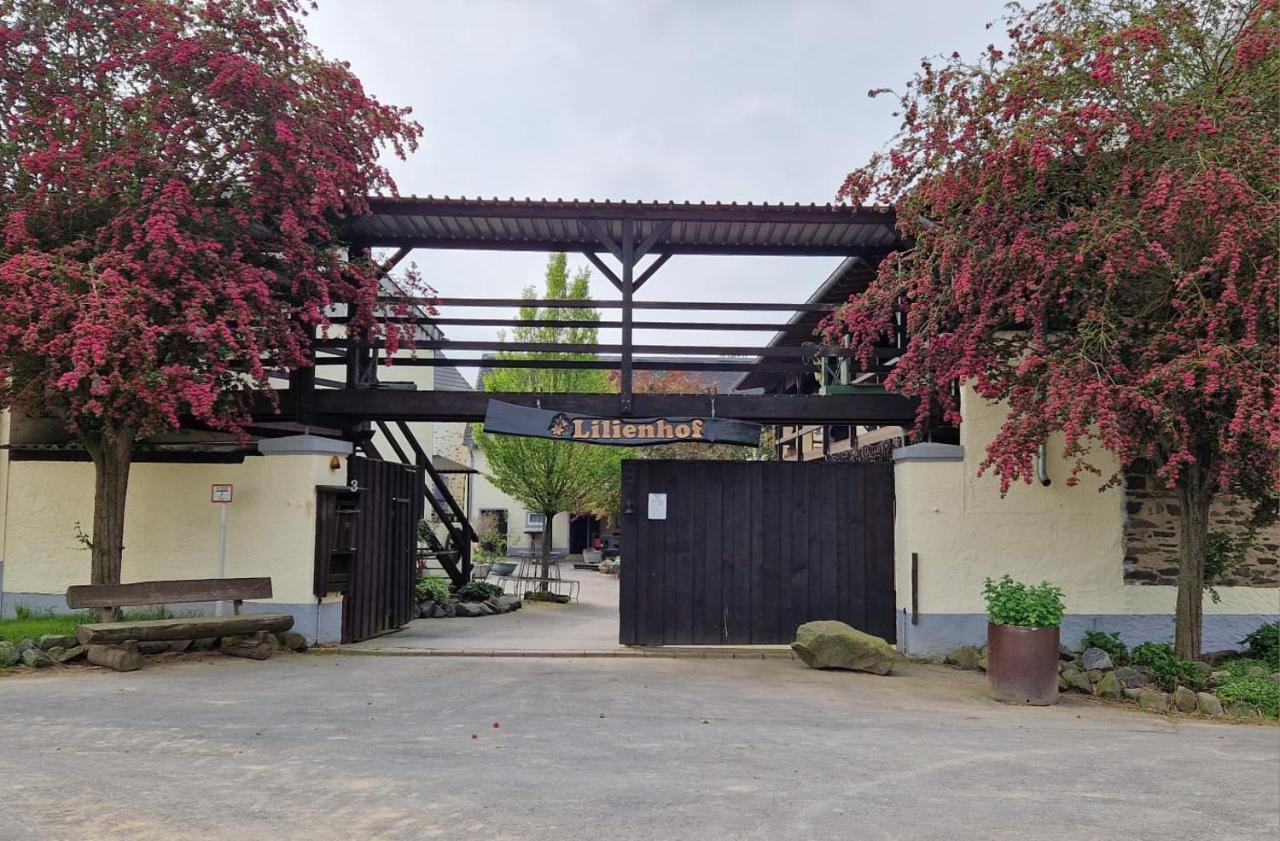 Moderne Ferienwohnung Black Beauty Auf Idyllischem Reiterhof Naehe Burg Eltz Münstermaifeld Exterior foto